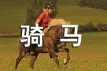 骑马作文300字(精选41篇)