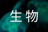 生物学习心得体会(精选17篇)