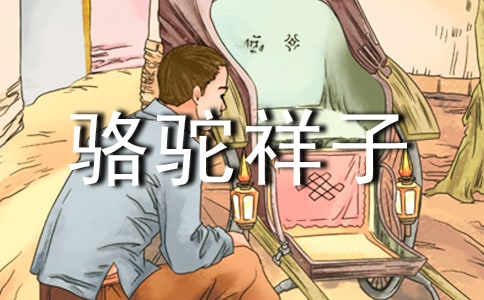 《骆驼祥子》读书笔记范文700字(通用12篇)