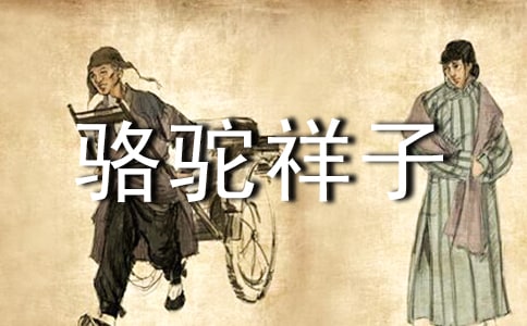 骆驼祥子1到16章读书笔记